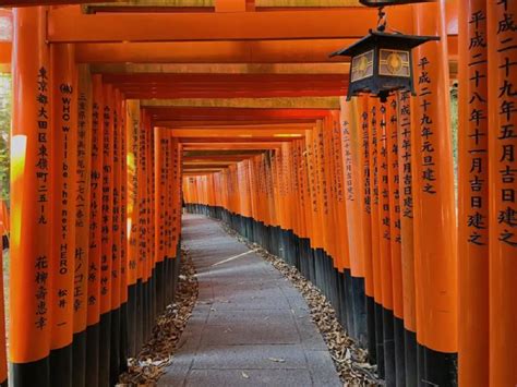  Kiyomizu Kedi Şehri: Japonya'nın Şirin Kedileriyle Buluşma Noktası!